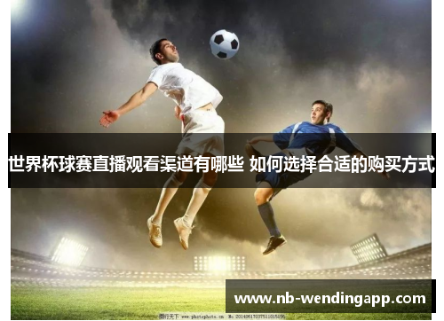 世界杯球赛直播观看渠道有哪些 如何选择合适的购买方式