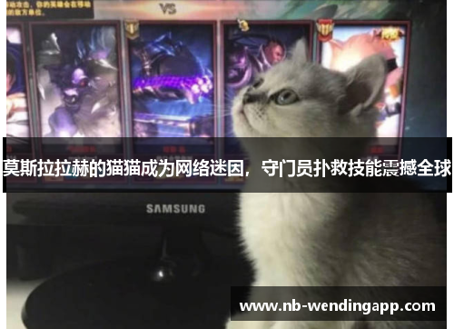 莫斯拉拉赫的猫猫成为网络迷因，守门员扑救技能震撼全球