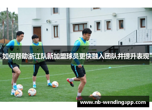 如何帮助浙江队新加盟球员更快融入团队并提升表现