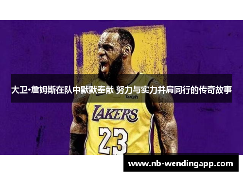大卫·詹姆斯在队中默默奉献 努力与实力并肩同行的传奇故事
