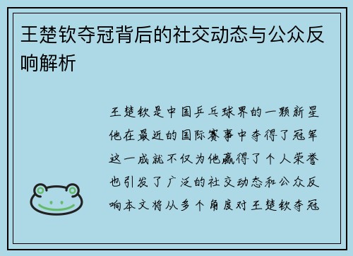 王楚钦夺冠背后的社交动态与公众反响解析