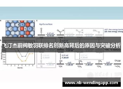 飞汀杰蔚阀敏羽联排名创新高背后的原因与突破分析
