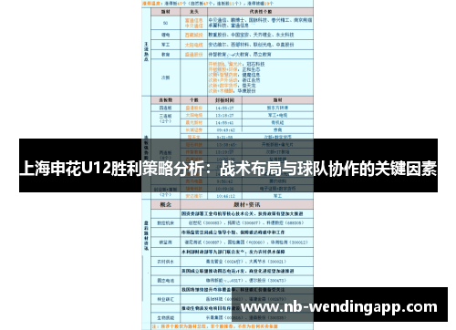 上海申花U12胜利策略分析：战术布局与球队协作的关键因素