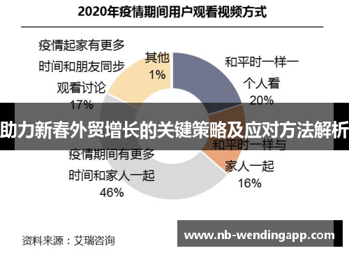 助力新春外贸增长的关键策略及应对方法解析