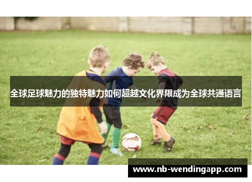 全球足球魅力的独特魅力如何超越文化界限成为全球共通语言