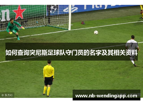 如何查询突尼斯足球队守门员的名字及其相关资料
