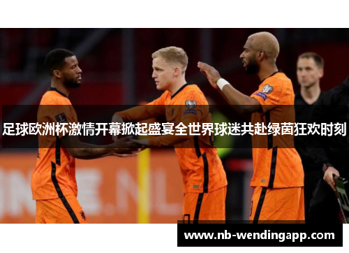足球欧洲杯激情开幕掀起盛宴全世界球迷共赴绿茵狂欢时刻